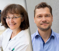 Ausgezeichnet für Forschung und Lehre